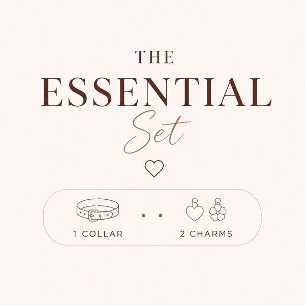 The Essential Set