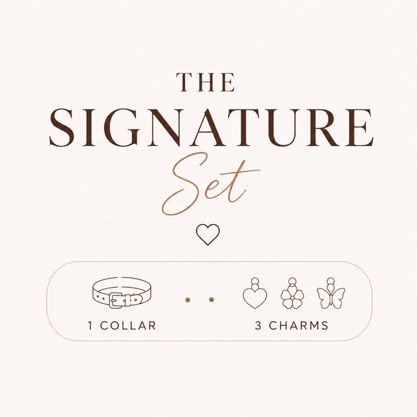 The Signature Set
